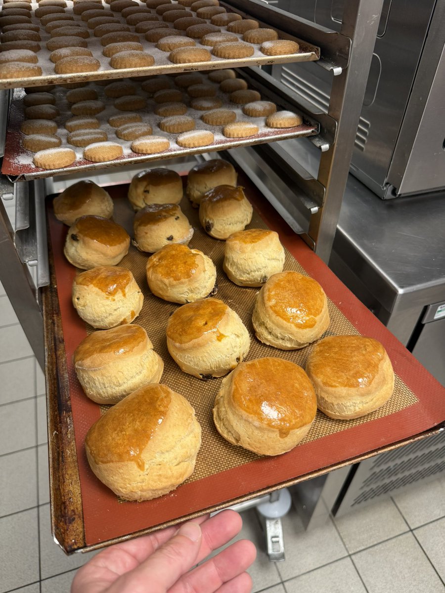 Andrew Nelson tweet media