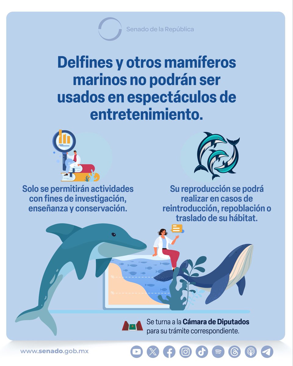 “Delfines”:
Porque el <a href="/senadomexicano/">Senado de México</a> aprobó la prohibición del uso de Delfines y otros mamíferos marinos en espectáculos de entretenimiento. Ahora se turna a la Cámara de Diputados.