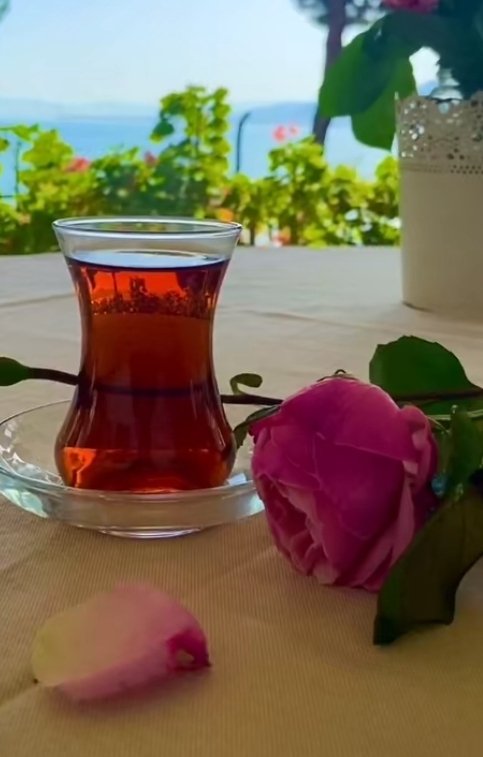 _____Mevlana der ki;
Beklemeyi bilirsen istediğin 
       her şey ayağına gelir! 

        Unutma ki; Allah 
sabredenlerle beraberdir.. 

#Guenaydınnnn 🌼☕

#mutlugünler🍃🐦🌿🕊