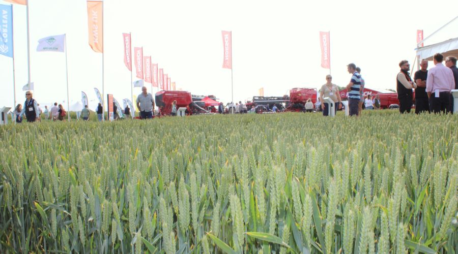 Hosted by <a href="/wheat_daddy/">Andrew Ward 🇬🇧🚜</a>, <a href="/CerealsEvent/">Cereals Event</a> 2025 drew a strong crowd with buyers looking for value, resilience, and adaptability 🌾

👉 farmersguide.co.uk/arable/cereals…

#Cereals2025 #CerealsEvent2025 #CerealsEvent #Agriculture #BritishFarming #UKFarming #Farmers #AgriBusiness #Arable