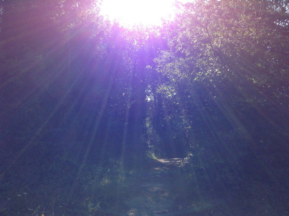 brotherurth's tweet photo. #Midsummer is here, the veil is gossamer thin, welcome those past, and those present. #Golowan #Goluan https://t.co/BZQzSuJUPi