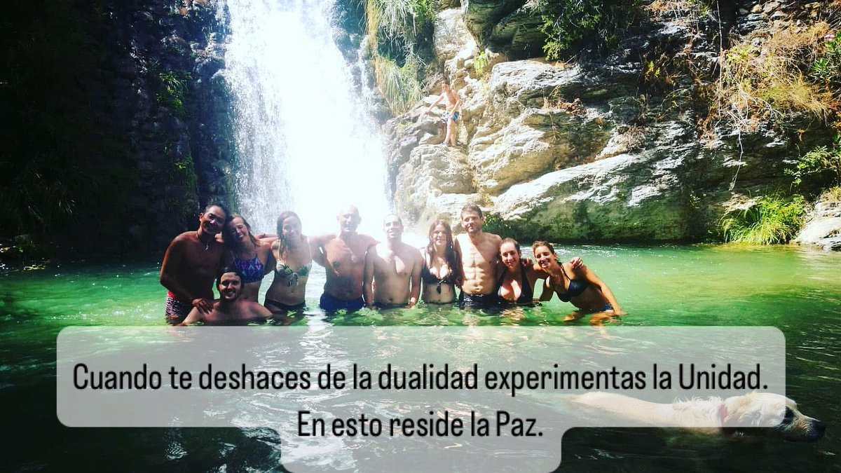 Carlos Elías 🦁❤️😇 (@airelibrenow) on Twitter photo 