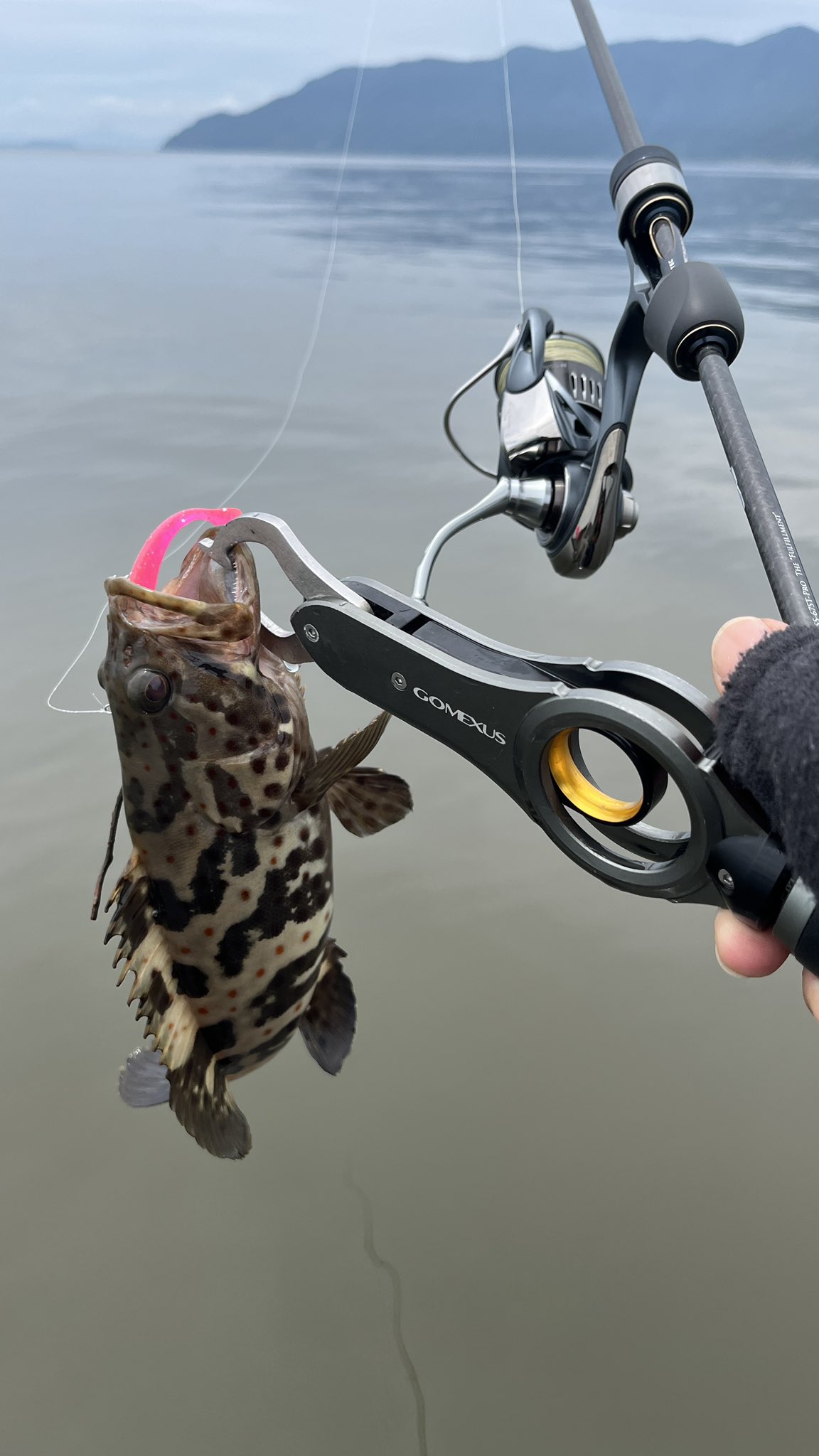 SEBASS90MLLIBERTYCLUB