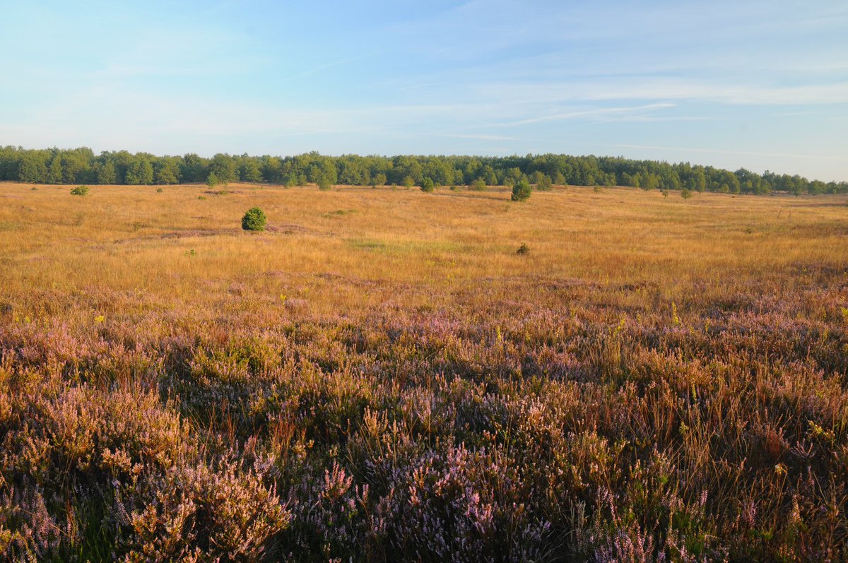 Jonathan Davison tweet media