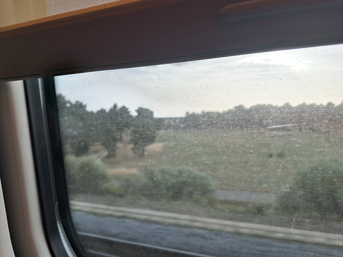 Gracias te doy, corazón mío 
por no quejarte, por ir y venir

Tienes setenta merecimientos por minuto.
Cada una de tus sístoles
es como empujar una barca
hacia alta mar
en un viaje alrededor del mundo

(Wislawa Szymborska)

#EnElTren