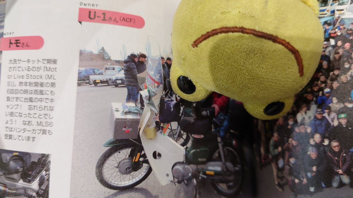 U119740725's tweet photo. やっとカブオンリーを購入 お恥ずかしながらP33にちょこんと載っています 今までカブ系のでは最大のサイズかもw(昔GPZ900Rで本に載った時はもっと大きかったw) 今日は雨で883R乗れないのなー… カブも乗れない… #ぬい撮り #かえるのピクルス #スーパーカブ #カブ #カブオンリー #本 #カブonly #vol19 https://t.co/QLXDT4BvBS