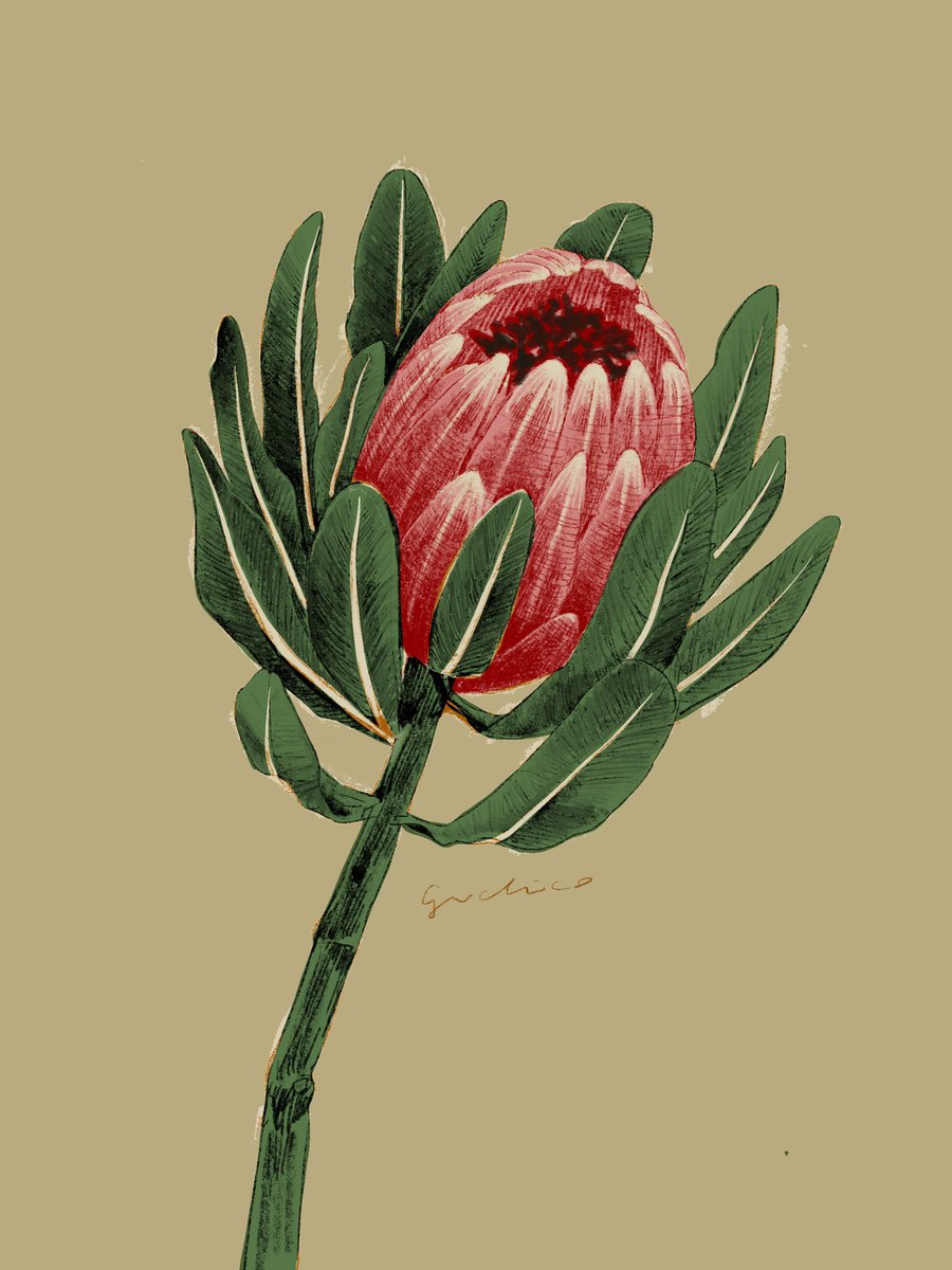 着彩の検証
#illustration