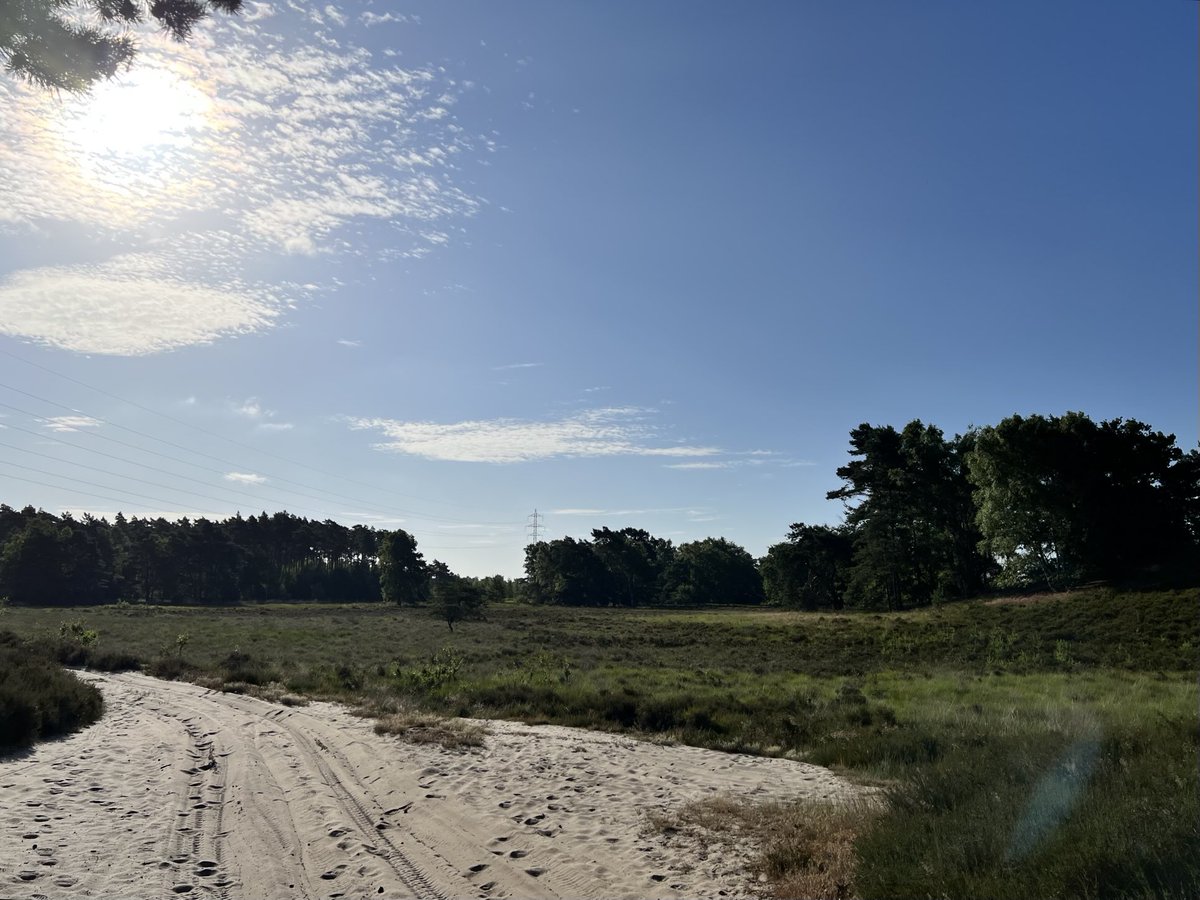 Goedemorgen #vrtweer 08.23u Houthalen ⁦<a href="/BuienradarBE/">BuienradarBE</a>⁩