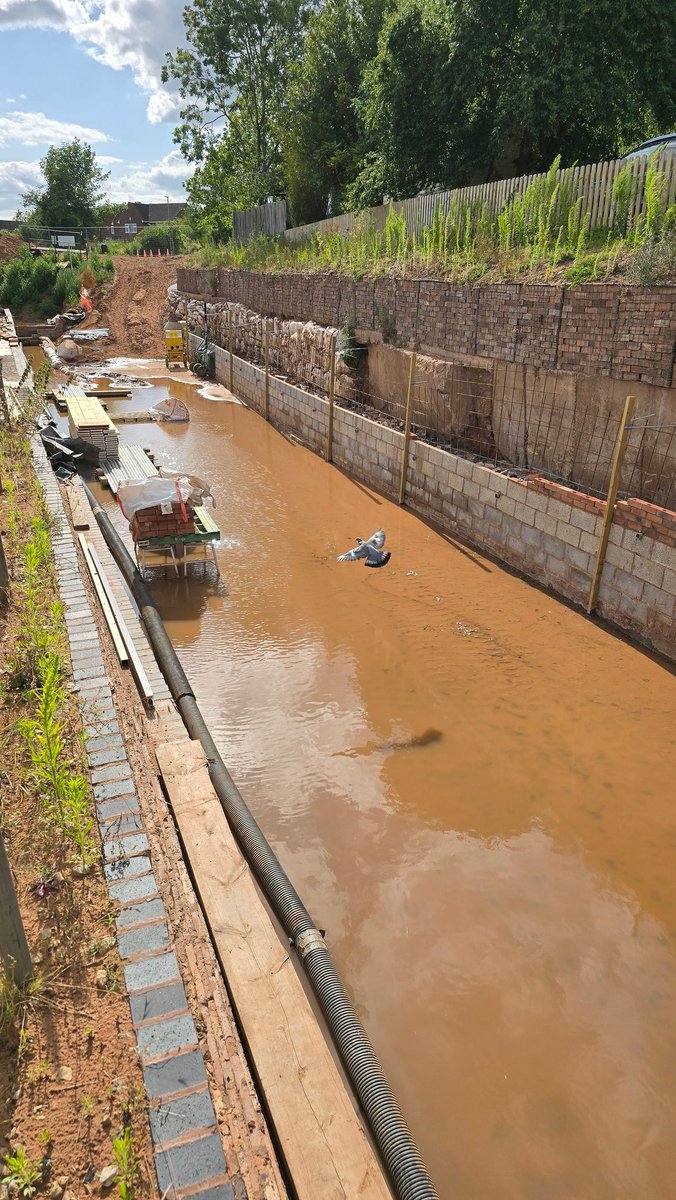 At Tamworth Road Narrows, the blockwork has now reached water level — so it’s time for bricks!

The wall will rise up to the base of the gabion baskets, hiding the concrete behind beautiful brickwork. 

Pigeon added for scale 😂