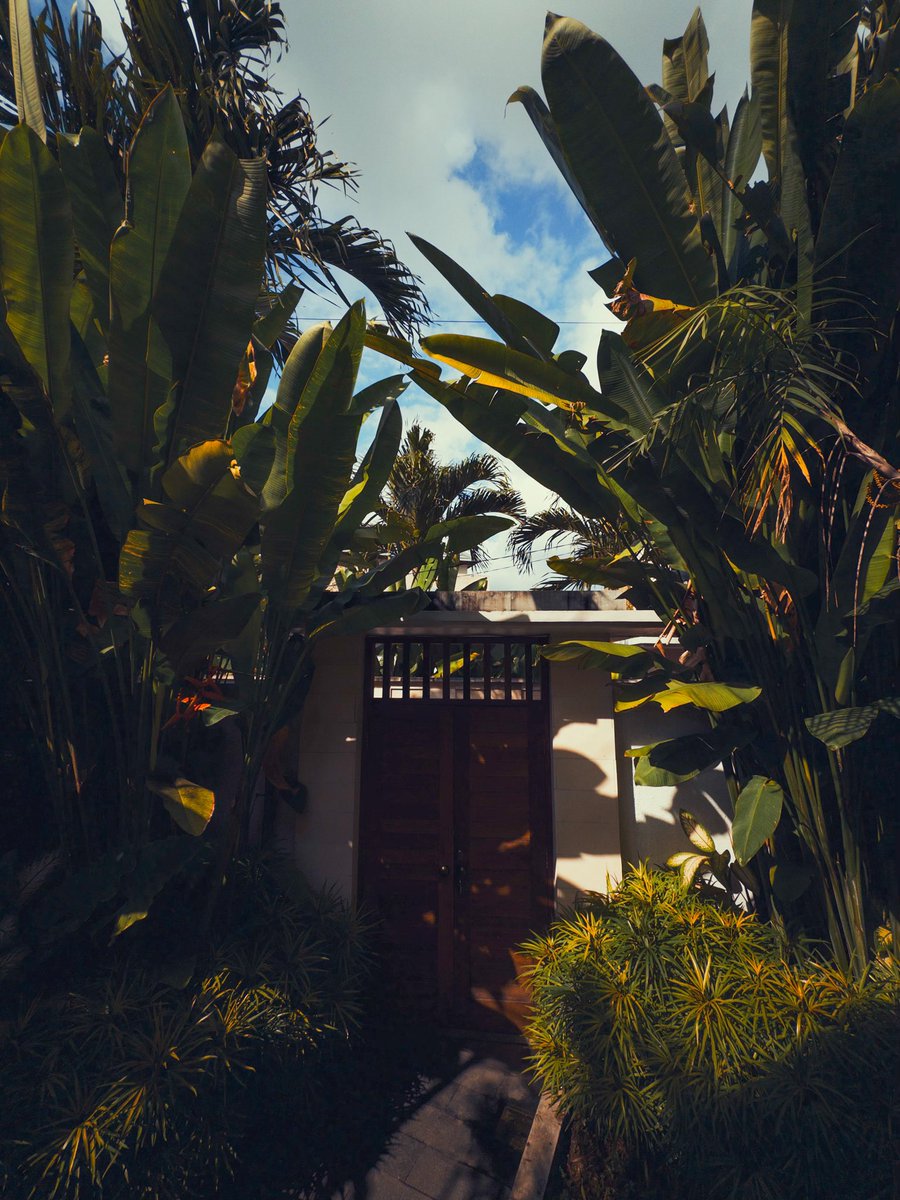 mischamillion's tweet image. Fell in love with photography all over again 📸
Thanks @notboring @asallen for this beautiful UX and delightful haptics and sound design ❤️
It’s my favourite camera app ever !
