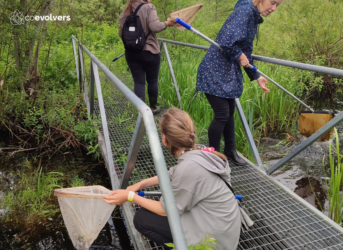 COEVOLVERS Project tweet media