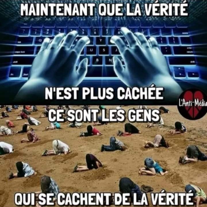 MenteCorpore34's tweet photo. @eric_vintage @Krieger66362259 ¡¡¡ trop peu de #gueux sont #conscients et #éveillés 😑 la plupart sont #aliénés par leurs médiocres #viesàcrédits !!! https://t.co/mvNkp9g9CX