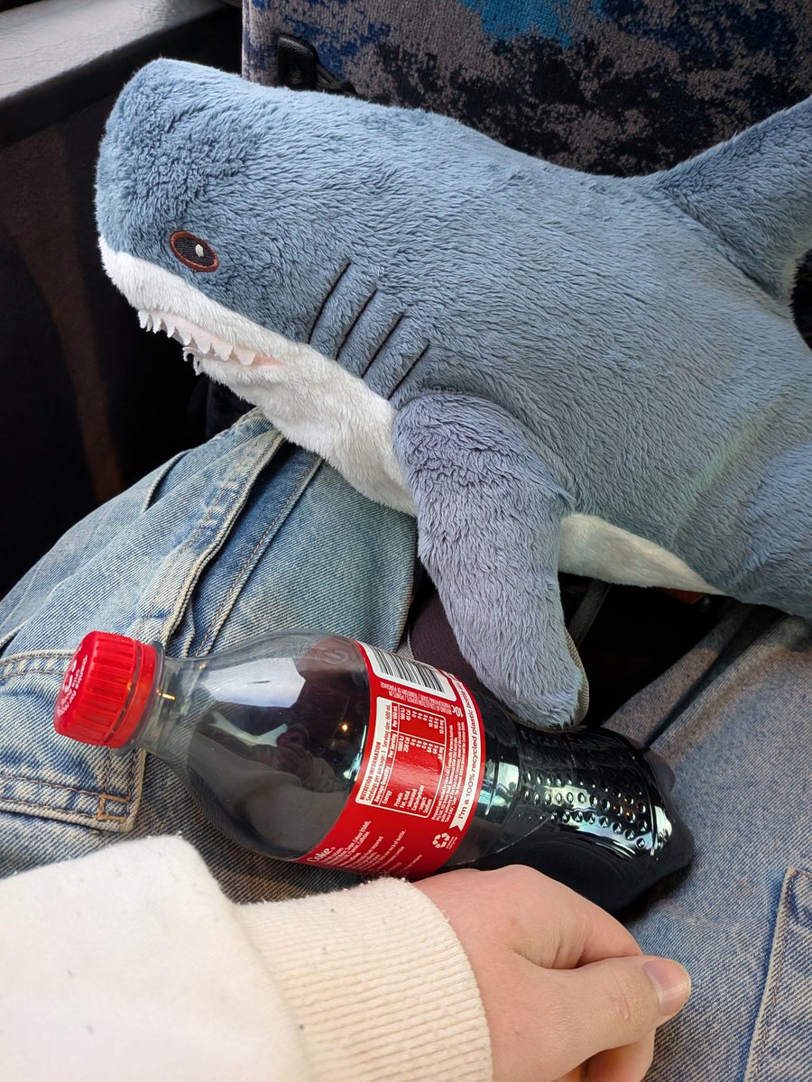 Vertexia57's tweet image. Back home in stinky Victoria, brought shark home with me :333
