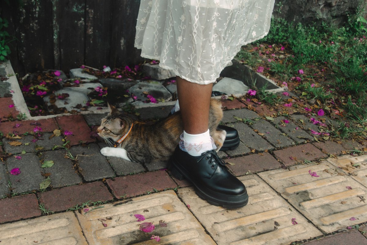 dana istimewa tweet media