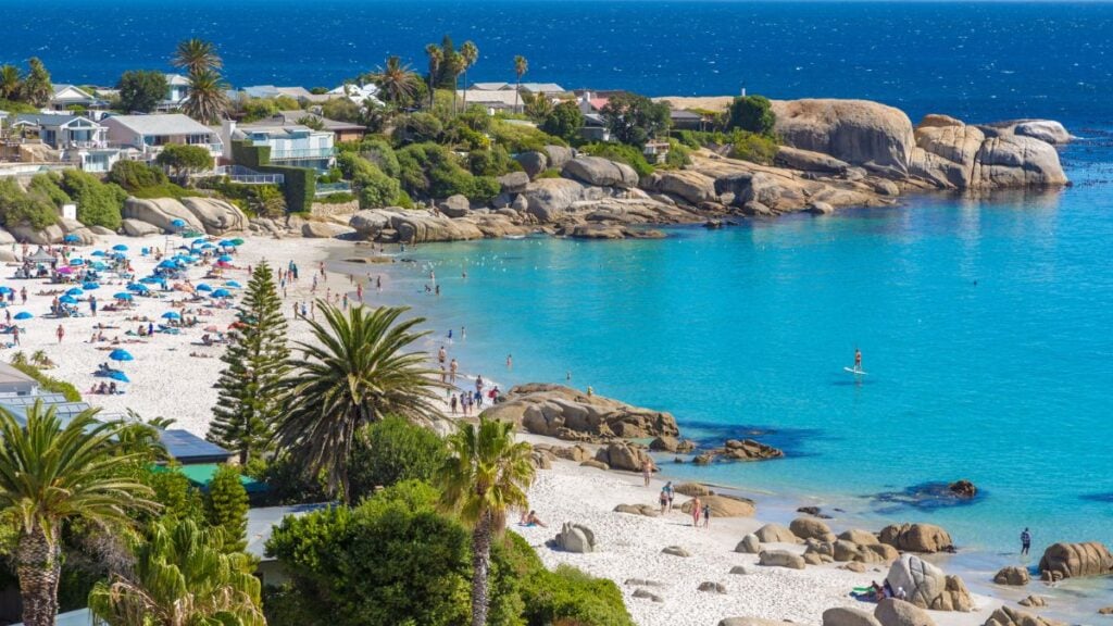 Neues aus der Rosedene Lodge und aus Kapstadt! - mailchi.mp/b2ffa1b687ce/n…
