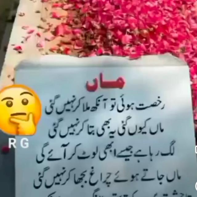 Shahid Raجput(♿ڈس ایبل) tweet media