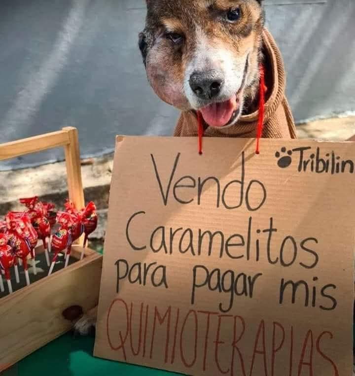 Vuela alto pequeño 🙏🏻