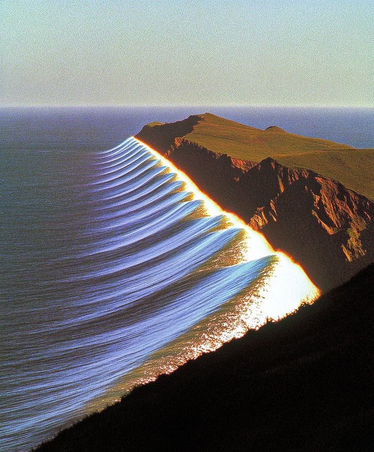 sendarchive's tweet image. 