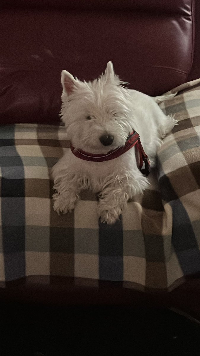 Susana Efe🔻♀️🌈♥️🍉 tweet media