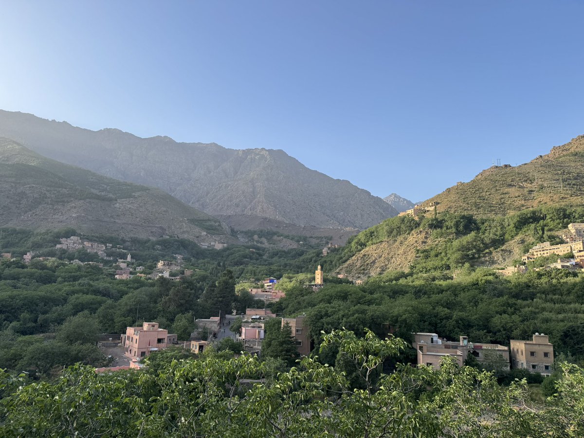 alice morrison tweet media