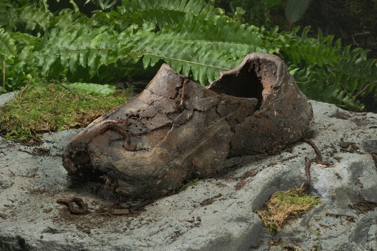 designboom tweet media