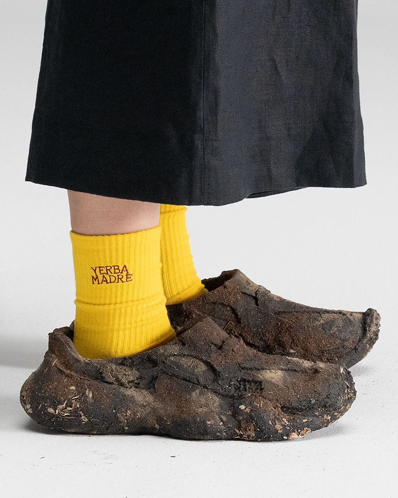 designboom tweet media