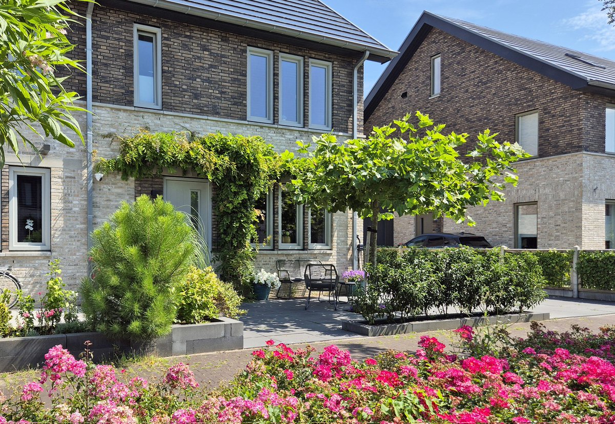 NandaSluijsmans's tweet image. Met zo'n groene parasol🌳🍃 is het heerlijk vertoeven in de voortuin! De schaduw en verdamping van bladvocht maakt het nog koeler dan een gewone parasol!😎
#Natuurlijke #airco #vergroenen