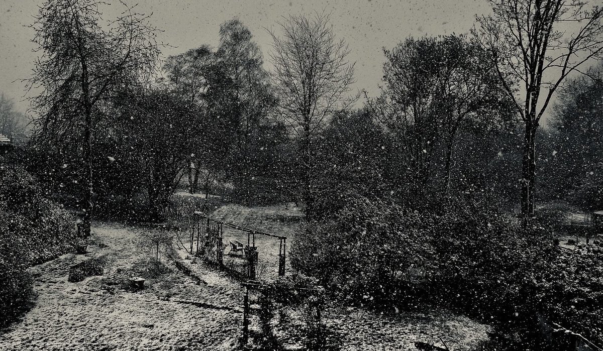 MARC LERCHS tweet media