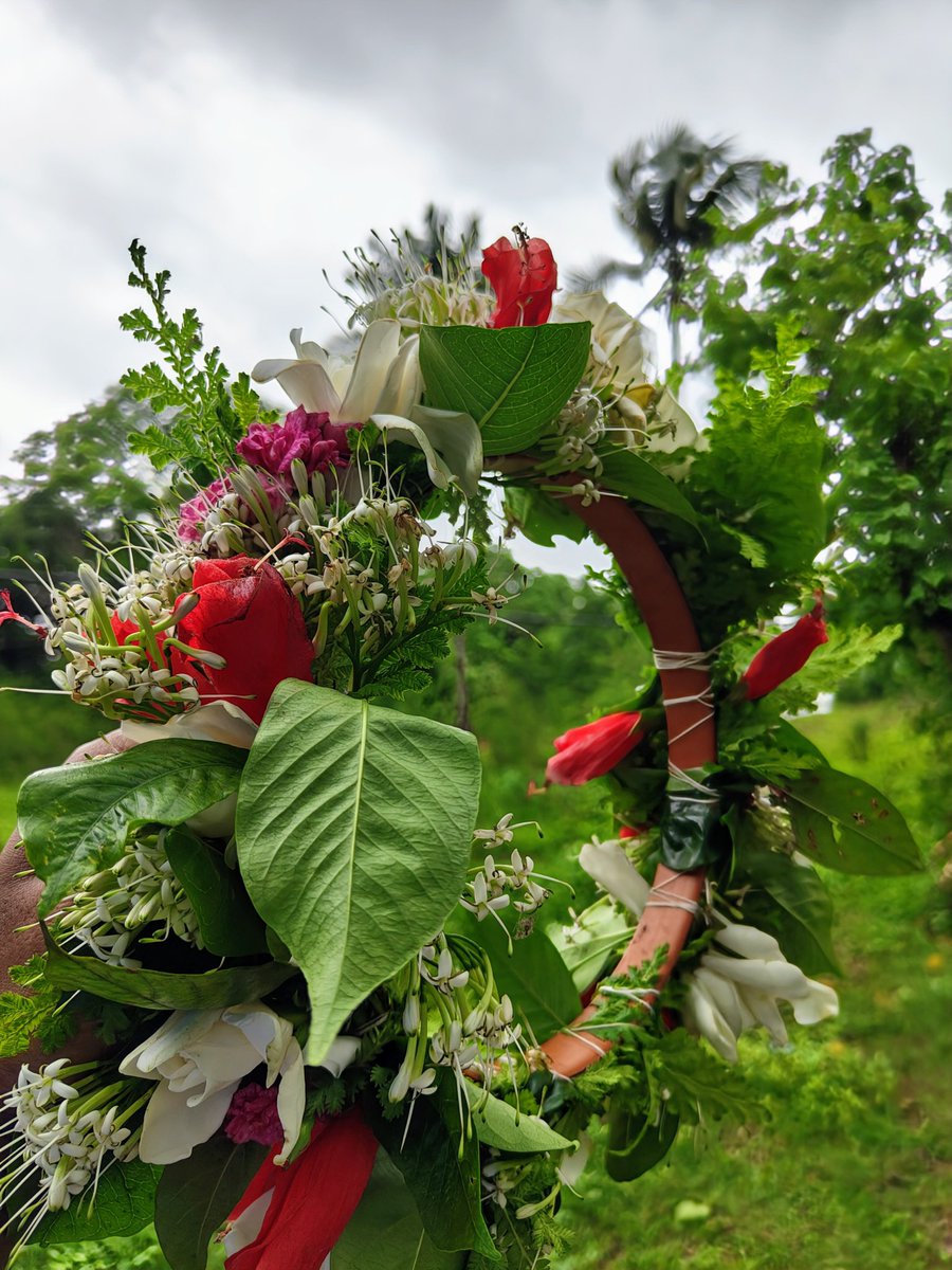 Mauvinhere's tweet photo. Viva São João 🌸 https://t.co/LUZX43PySI