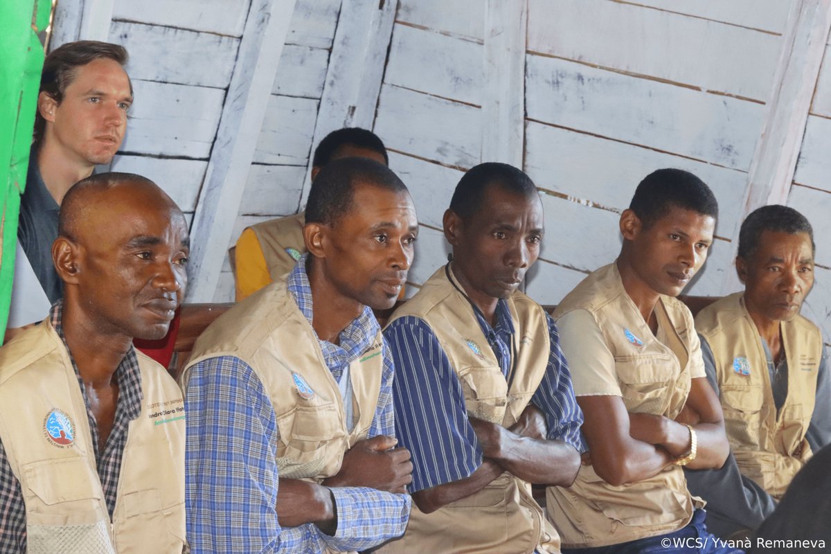 WCS_Mada's tweet image. Community-based hunting monitoring system co-developed with five local management communities in Makira to ensure sustainable wildlife management.
#CommunityConservation #SWM #WCS