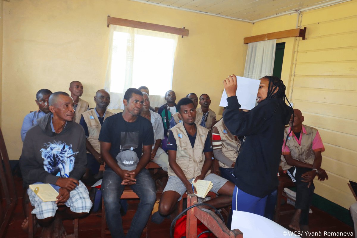 WCS_Mada's tweet image. Community-based hunting monitoring system co-developed with five local management communities in Makira to ensure sustainable wildlife management.
#CommunityConservation #SWM #WCS