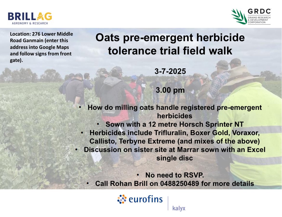 Rohan Brill tweet media