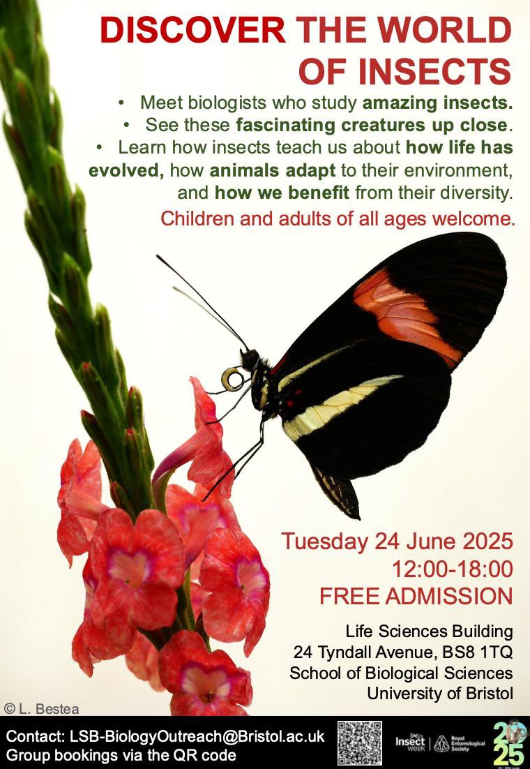 BristEntNet's tweet photo. TODAY! Discover the world of insects at @BristolBioSci, as part of Insect Week! See some fascinating creatures up close, get to know about the research behind them, do some crafting! Doors open 12-6pm, all ages welcome, admission free, please share! https://t.co/R8vF8NTBmj