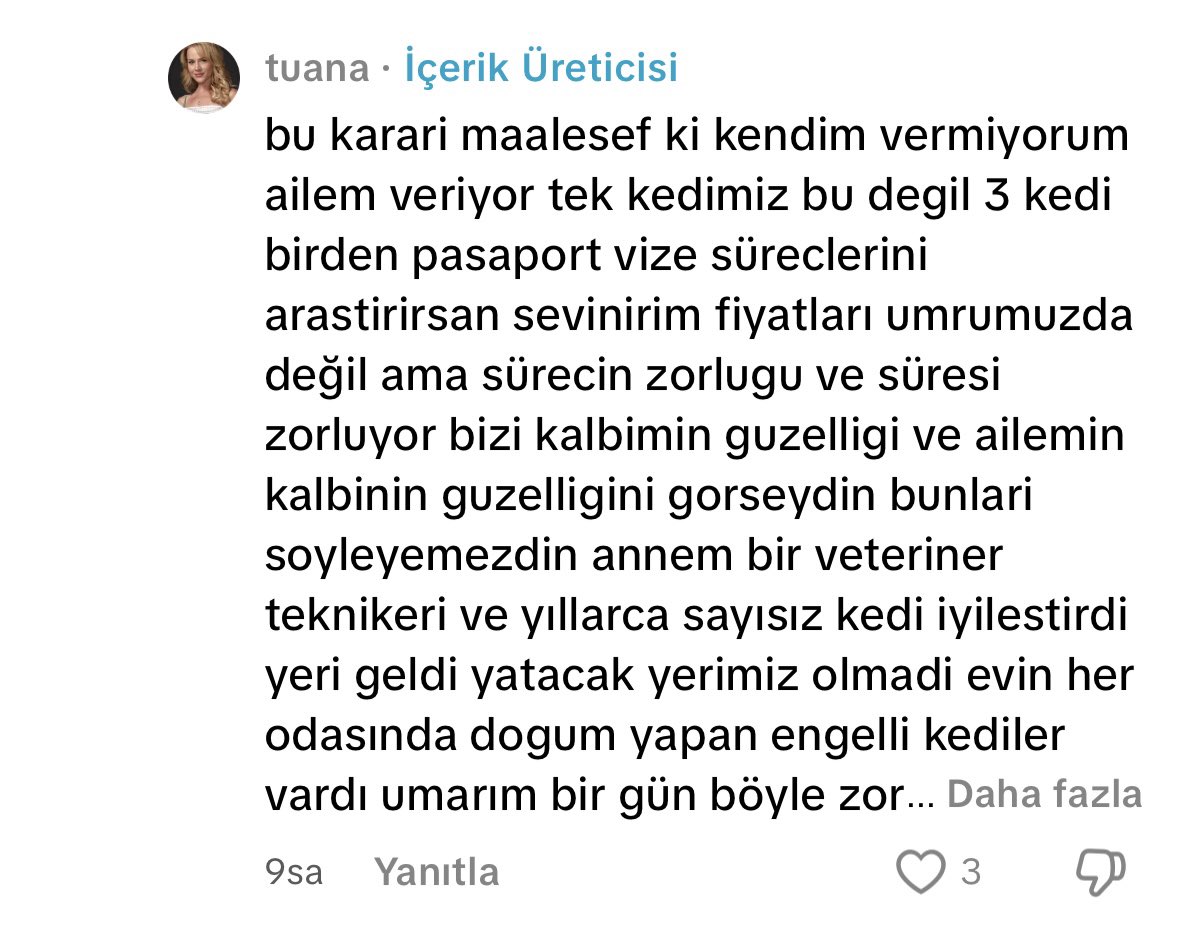 ANKARA/ETİMESGUT !!! bir yurt dışına gittiğim için "zorunda"yım vakası hanımefendi 1 hafta sonra çok acil! yurt dışına taşınıyormuş bu 5 yaşındaki masum bebek yuva arıyor evde 2 kedi daha varmış...lütfen yayalım sokağa gitmesin