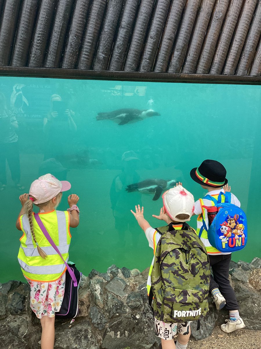 On Friday our Tigers and Cubs went on a trip to Banham Zoo with our friends from @HicklingInfants  and @InfantSutton . We had an amazing day seeing lots of animals, having a picnic lunch together, a train ride and playing on the big playground!