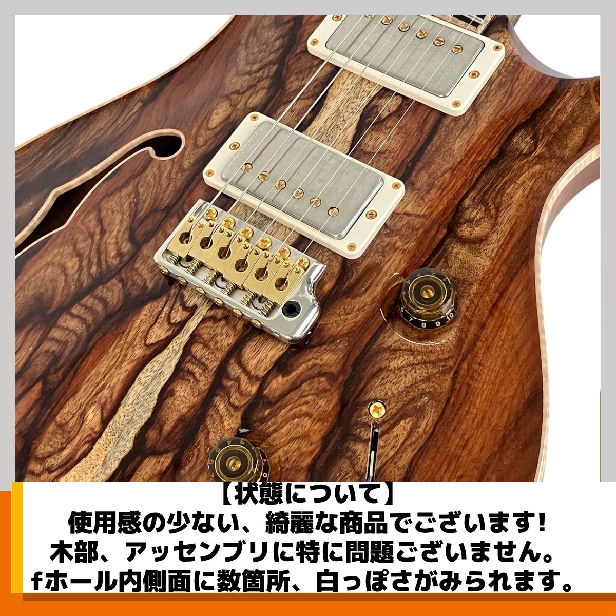 PRS Private Stock Custom 24 #9830 Brazilian Rosewood／Semi-Hollow