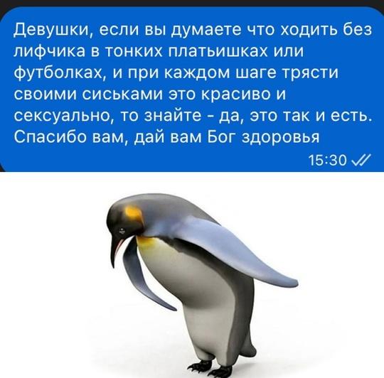 "Хейтер" (@igor14280127) on Twitter photo 