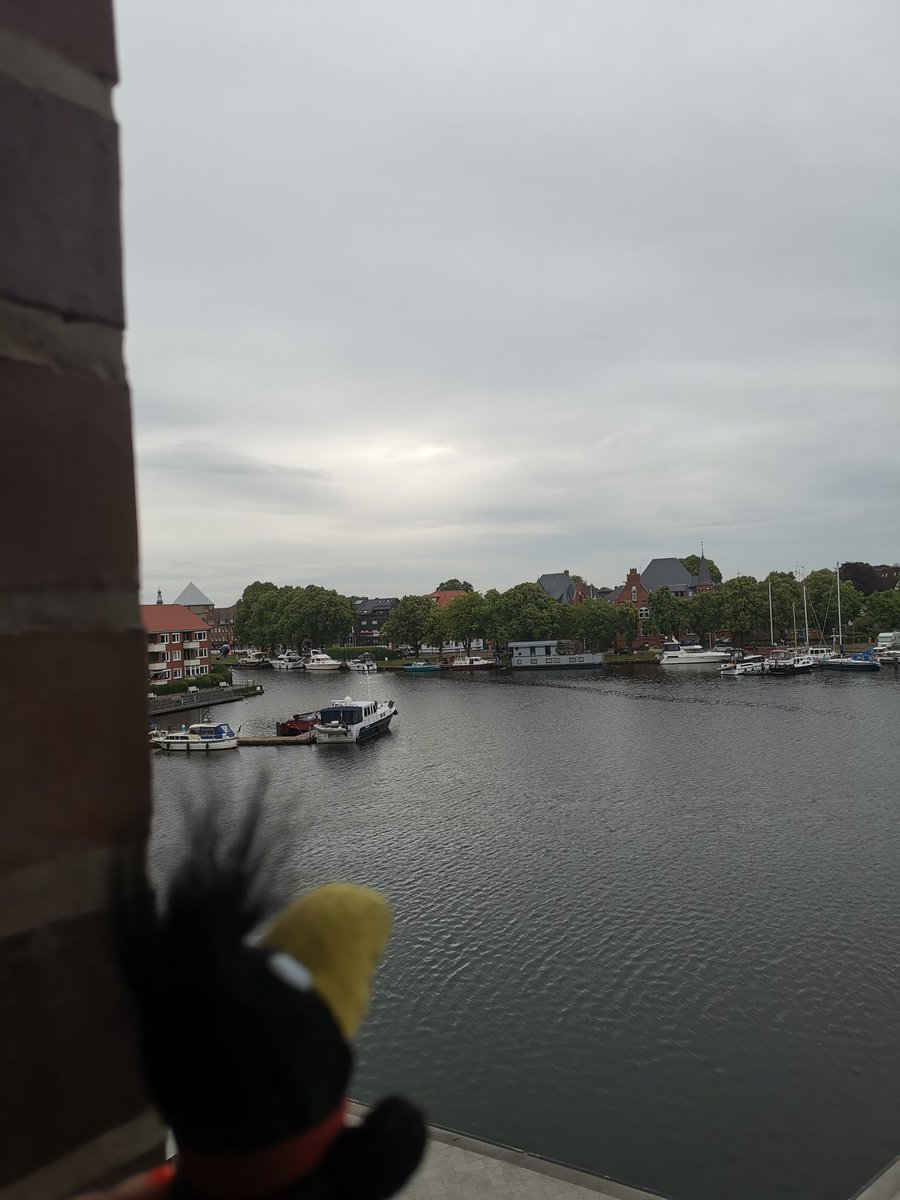 RaabeOlli's tweet image. Guten Morgen ihr lieben 😘 Einen wunderschönen Dienstag wünsche ich euch 🤗 Heute geht's leider schon wieder nach Hause, aber der Urlaub ist zum Glück noch lange nicht vorbei 😉