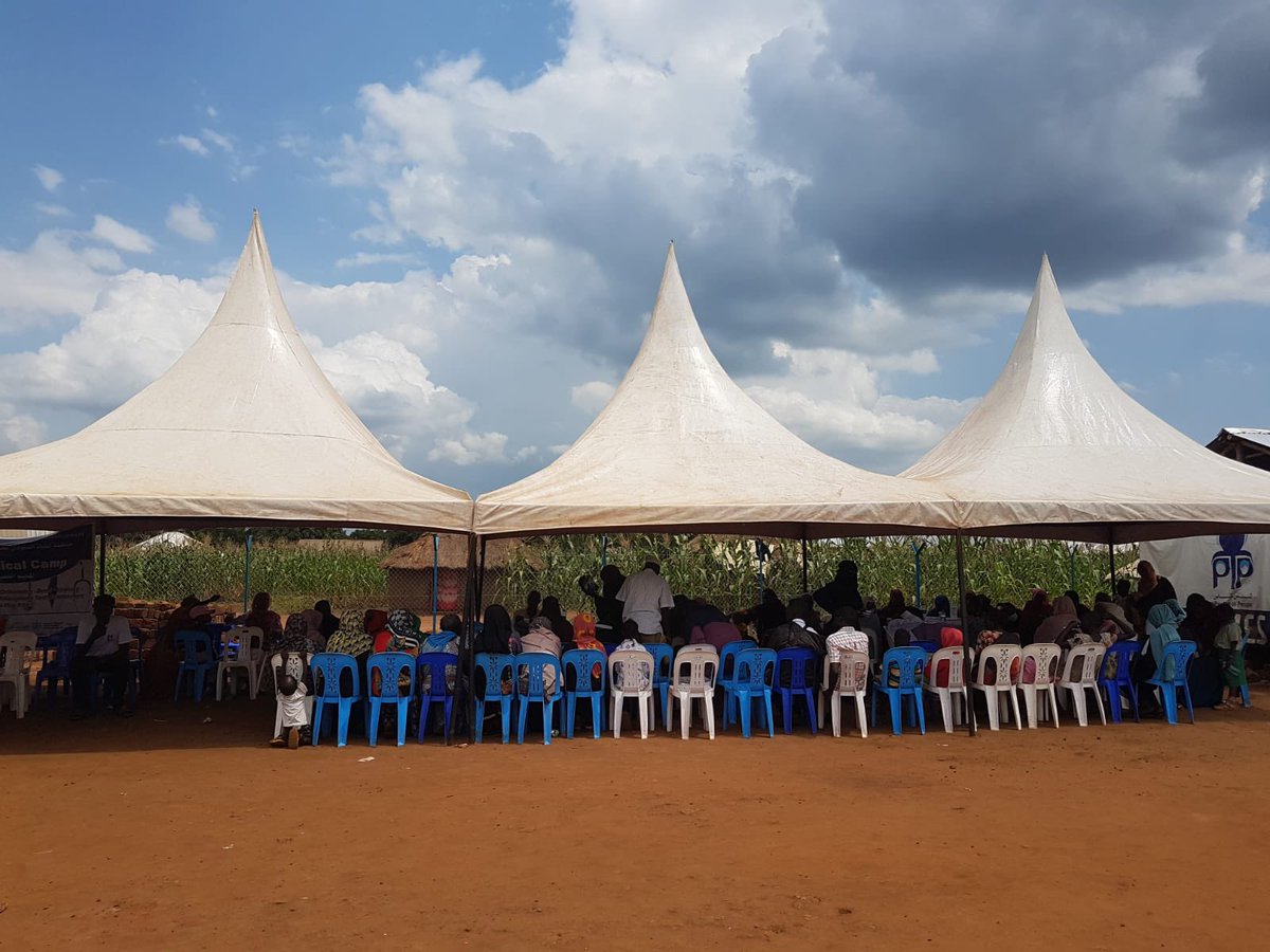 Sara Ibrahim Abdelgalil tweet media