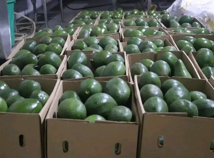 made in uganda online ltd tweet media