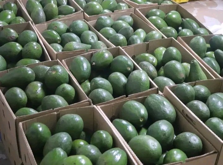 made in uganda online ltd tweet media