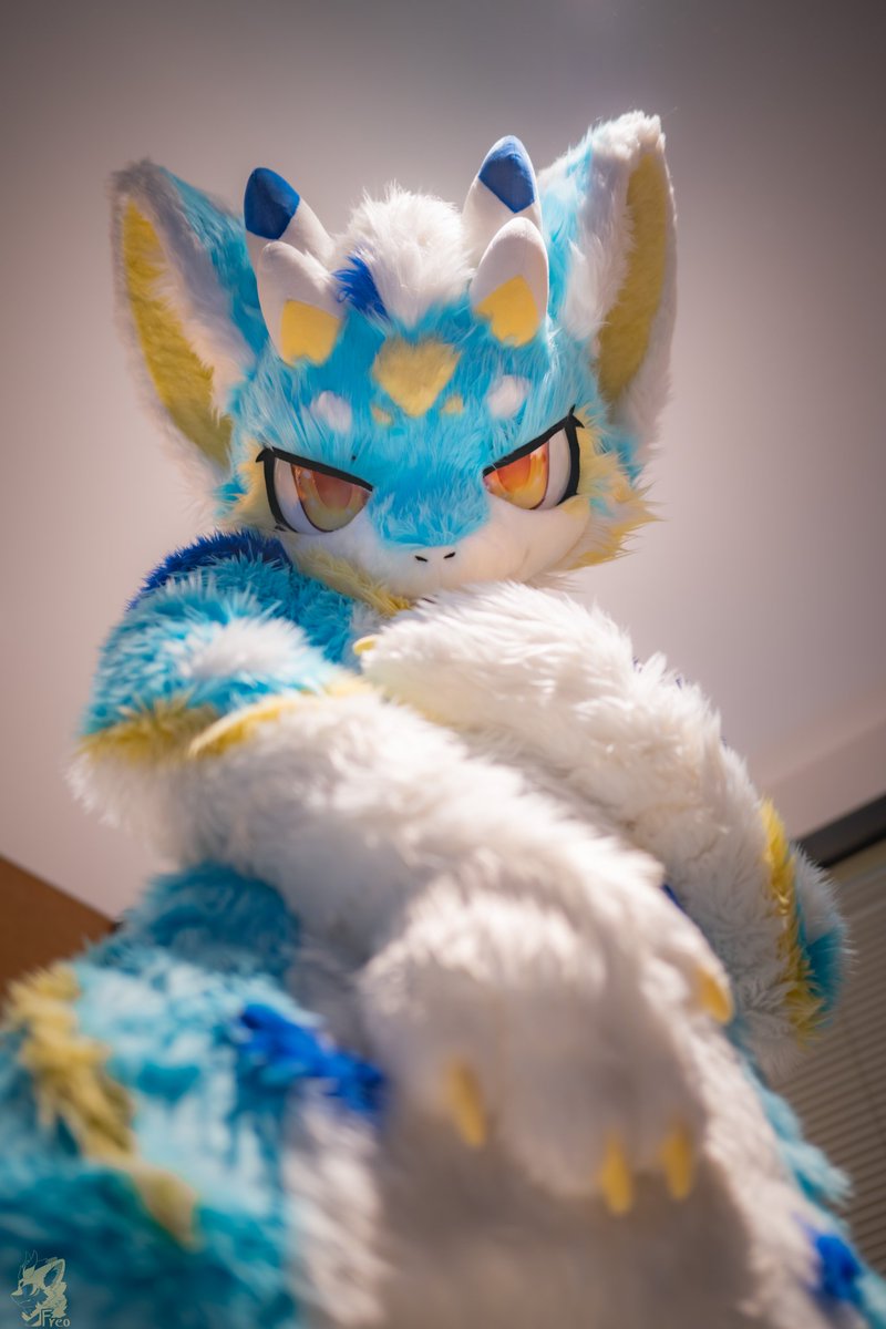 怎么~盯着我看干嘛~

📷团子