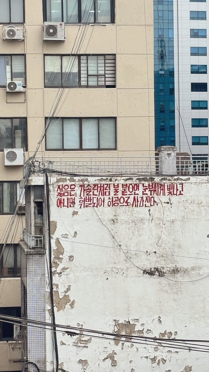 젊음은 가솔린처럼 불 붙으면 눈부시게 빛나고
아니면 휘발되어 허공으로 사라진다