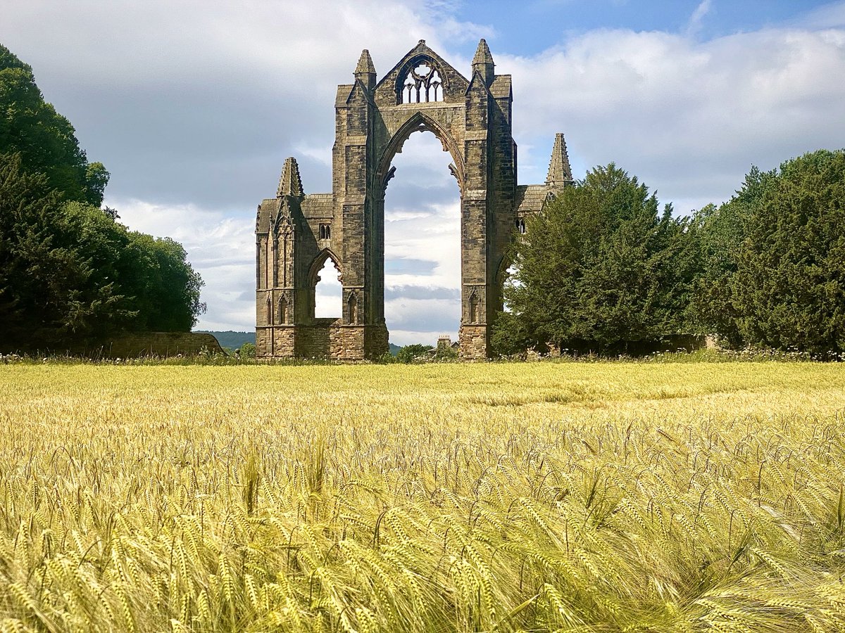 Nicky13Johnson's tweet image. Wishing you a terrific Tuesday from North Yorkshire 馃槉