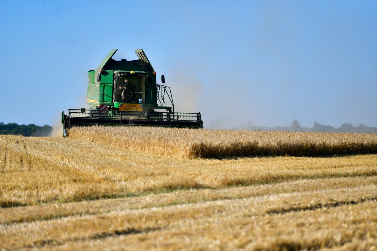 Département de l'Essonne (@cdessonne) on Twitter photo 🌾 La période des moissons débute !
🚜 En Essonne, nos agriculteurs s'engagent chaque jour pour vous proposer une alimentation saine, locale et de qualité, grâce à un savoir-faire exigeant et passionné.
<a href="/AgriculteursIDF/">AgriculteursIDF</a> 🌾 La période des moissons débute !
🚜 En Essonne, nos agriculteurs s'engagent chaque jour pour vous proposer une alimentation saine, locale et de qualité, grâce à un savoir-faire exigeant et passionné.
<a href="/AgriculteursIDF/">AgriculteursIDF</a>