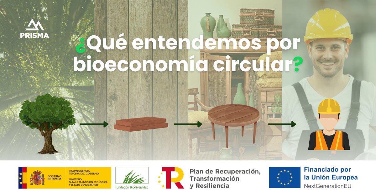 PrismaForestal's tweet image. 🪵 Un tronco que se convierte en tabla.
Una tabla que se convierte en mueble.
🪑 Un mueble que genera empleo local.
Todo sin salir del territorio.
♻️ Eso también es bioeconomía circular.
#PrismaForestal; Financia @FBiodiversidad #ProyectosPRTR #PlanDeRecuperación