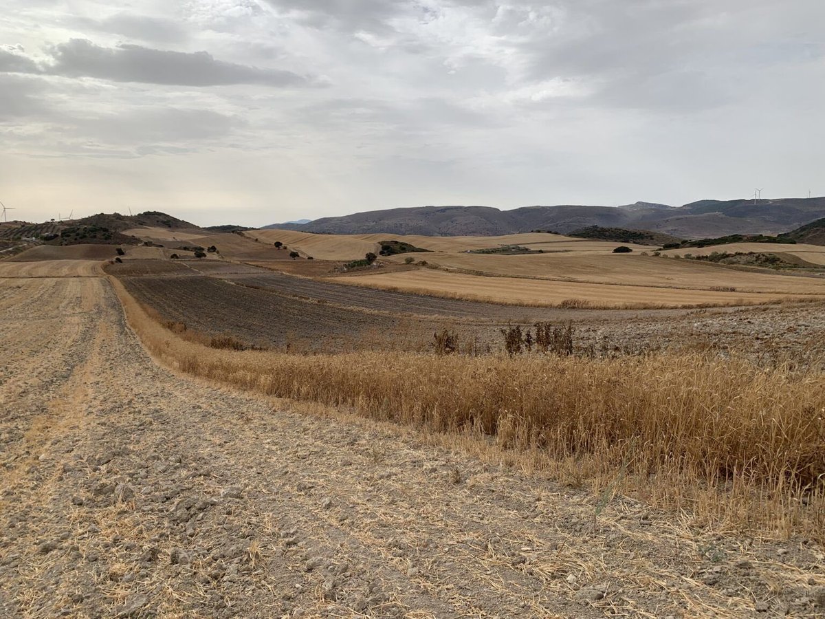 Federación Andaluza de Caza (@andaluciacaza) on Twitter photo 🌿 La <a href="/AndaluciaJunta/">Junta de Andalucía</a> concede el Premio Andalucía de Medio Ambiente a la Caza Sostenible a la Sociedad de Cazadores “Crestagallo” de Almargen: fac.es/prensa/la-junt… 🌿 La <a href="/AndaluciaJunta/">Junta de Andalucía</a> concede el Premio Andalucía de Medio Ambiente a la Caza Sostenible a la Sociedad de Cazadores “Crestagallo” de Almargen: fac.es/prensa/la-junt…