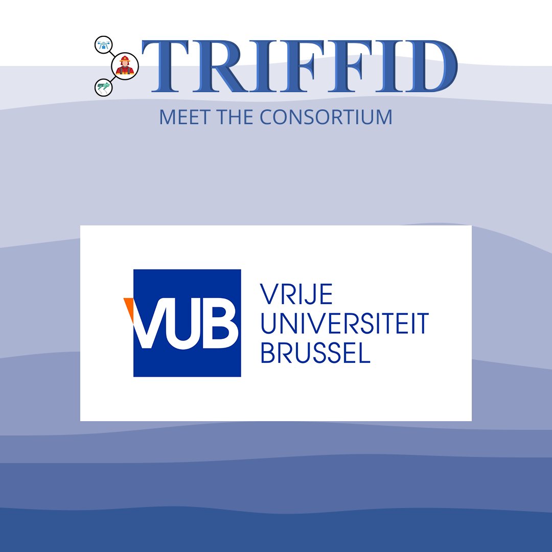 TRIFFID PROJECT tweet media