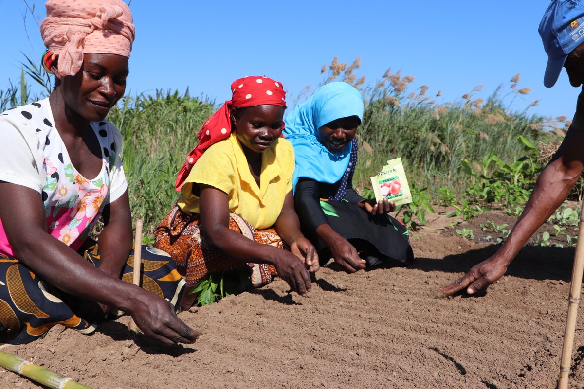 In Farmers Clubs programmes smallholder farmers, including the youth are organised into clubs to share knowledge, inspire one another &amp; make collective decisions to thrive together. Farmers access trainings &amp; develop sound ethical practices that are in harmony with nature.