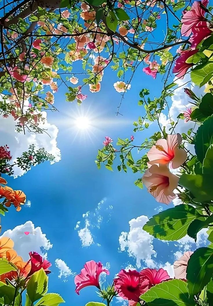 ☕️☀️Good morning friends ☀️☕️
🌿🕊Have an amazing, peace filled day🌿🕊